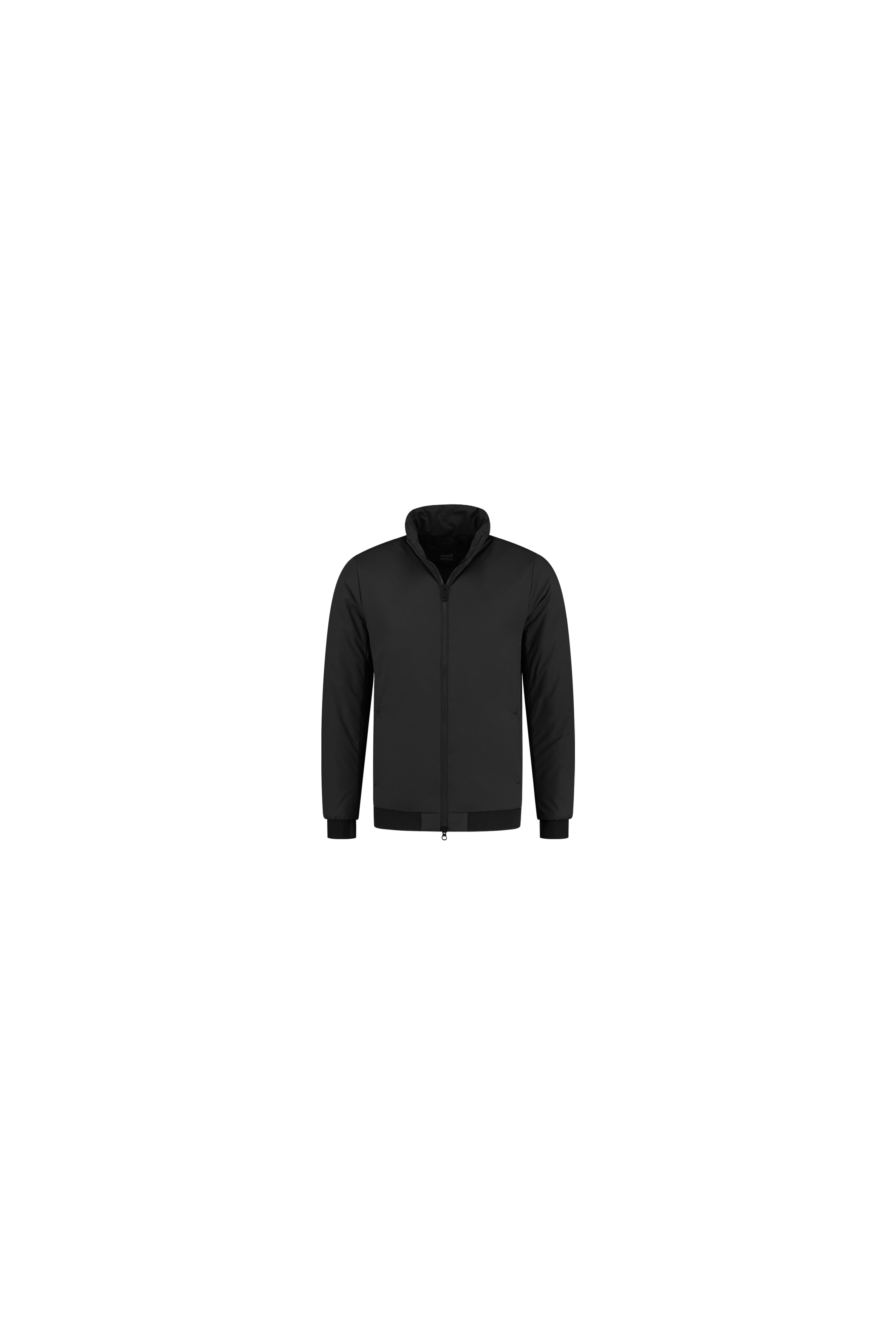 Scandinavian Edition Studio Jacket Black - 1027 | Bloom Fashion